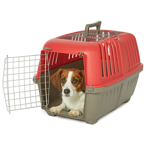 MidWest Spree™ Top Loading Pet Carrier (24 Red)