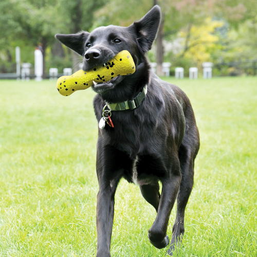 KONG Reflex Stick’s Dog Toy (Medium)