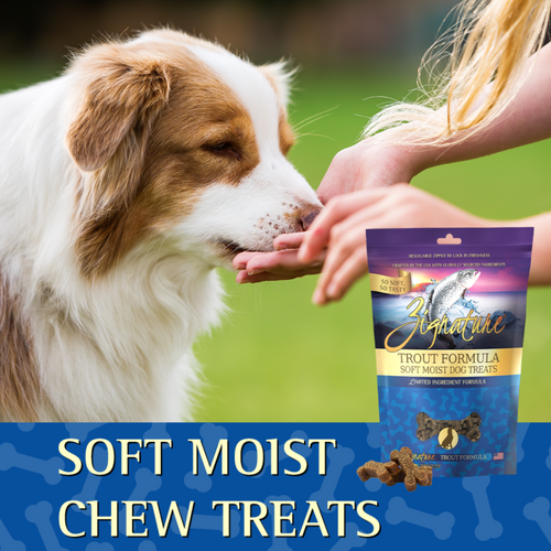 Zignature Soft Moist Dog Treats Trout Formula (4-oz)