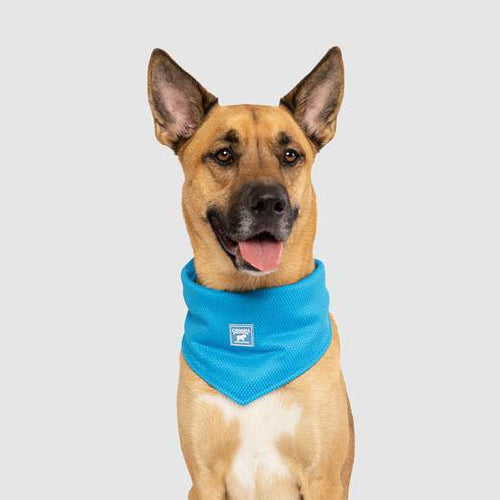 Canada Pooch Chill Seeker Bandana Blue (Small)