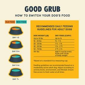 Jiminy's Good Grub Dry Dog Food (10 LB)