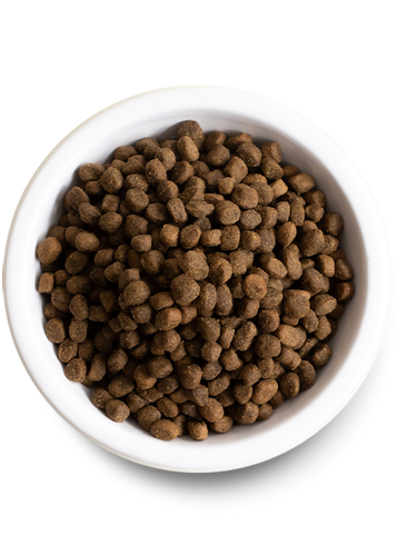 Open Farm Pasture-Raised Lamb & Ancient Grains Dry Dog Food (4-lbs)