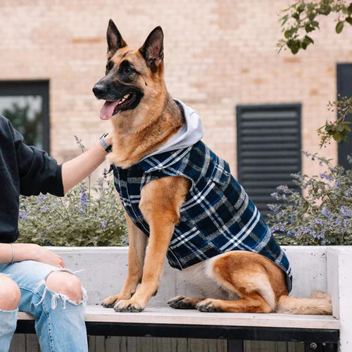 Canada Pooch The Shacket Dog Jacket