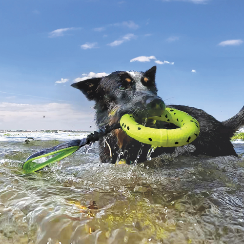 KONG Reflex Tug Dog Toy