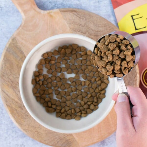 Earthborn Holistic Adult Vantage Dry Dog Food