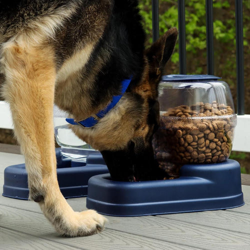 Bergan Elite Gourmet Dog Feeder (13-lb)