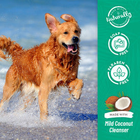 TropiClean Berry & Coconut Deep Cleansing Shampoo for Pets