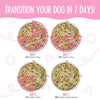 Weruva Meals 'n More Amazon Livin' Recipe Plus Dog Food