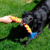 KONG Rope Rally Tug Dog Toy