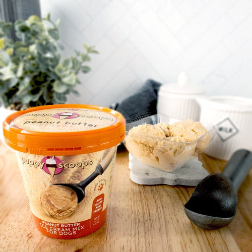 Puppy Cake Puppy Scoops Ice Cream Mix - Peanut Butter (4.65 oz)