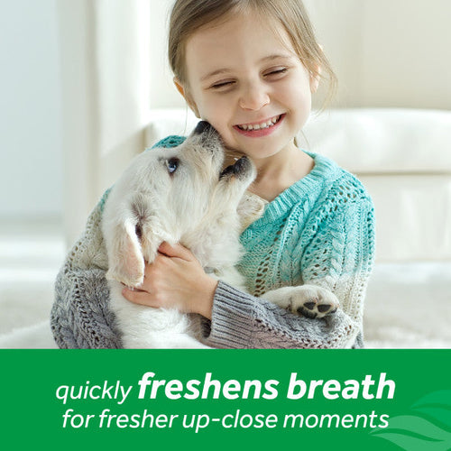 TropiClean Fresh Breath Mint Foam for Pets