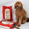 Stella & Chewy's Raw Coated Wholesome Grains Grass Fed Beef Recipe Dry Dog Food